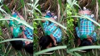 খেতে  চলে  গেল  রোমান্স  করছে ডেসি  লাউড়া-লাউডিয়া