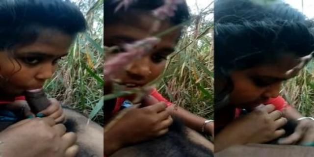 বাংলার মেয়ে জঙ্গলে তার প্রেমিকের বাড়া চুষছে এই বাংলা এমএমএস ভিডিওতে