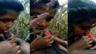 গ্রাম বাংলার মেয়ের ক্ষেতের মধ্যে বাড়া চুসছে প্রেমিকের